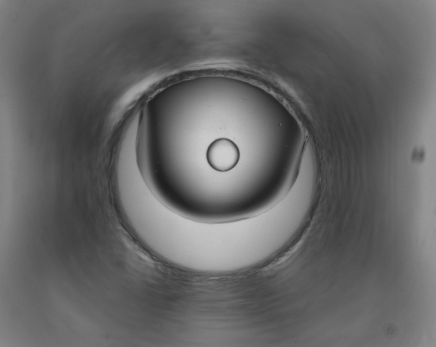 X0000091981406200709271418