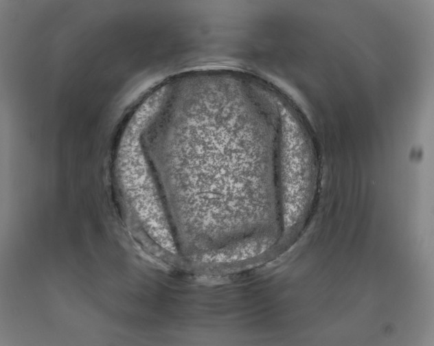 X0000091981407200709271418