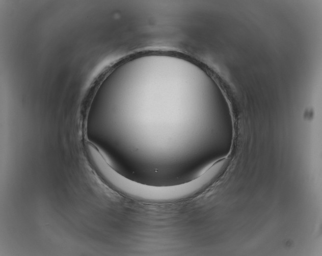 X0000091981408200709271418