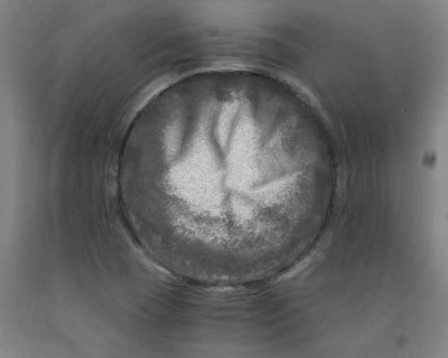 X0000091981409200709271418