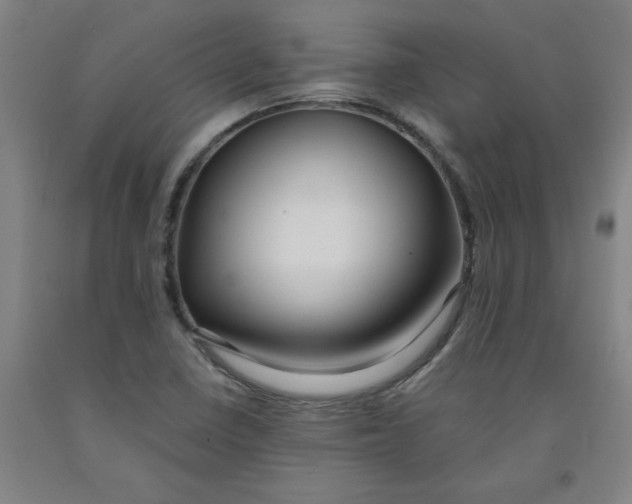 X0000091981410200709271418