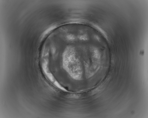 X0000091981411200709271418