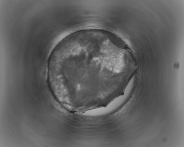 X0000091981413200709271418