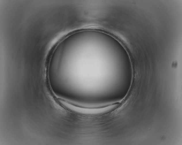 X0000091981414200709271418