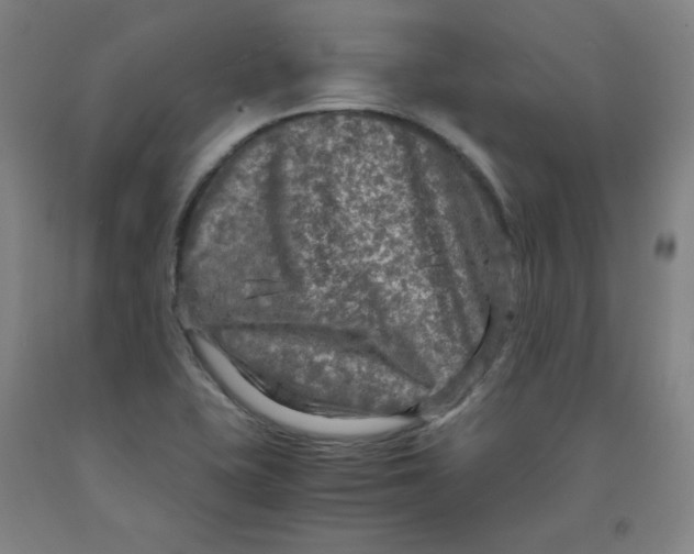 X0000091981415200709271418