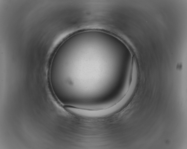 X0000091981416200709271418