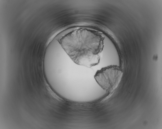 X0000091981417200709271418