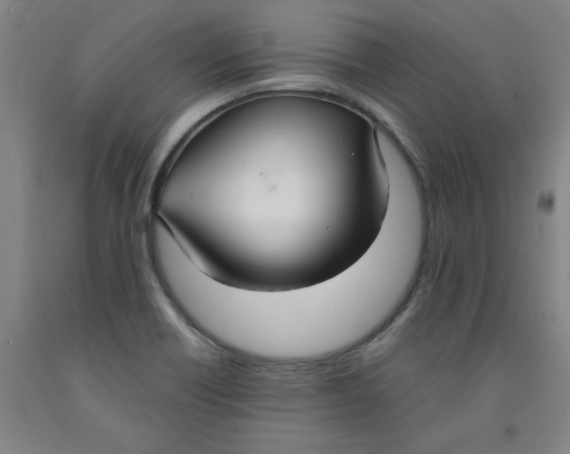 X0000091981418200709271418