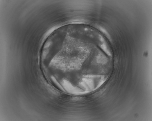 X0000091981419200709271418