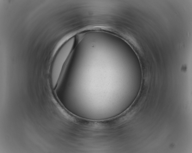 X0000091981420200709271418