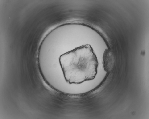 X0000091981421200709271418