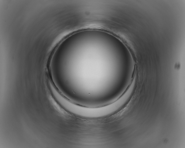 X0000091981422200709271418