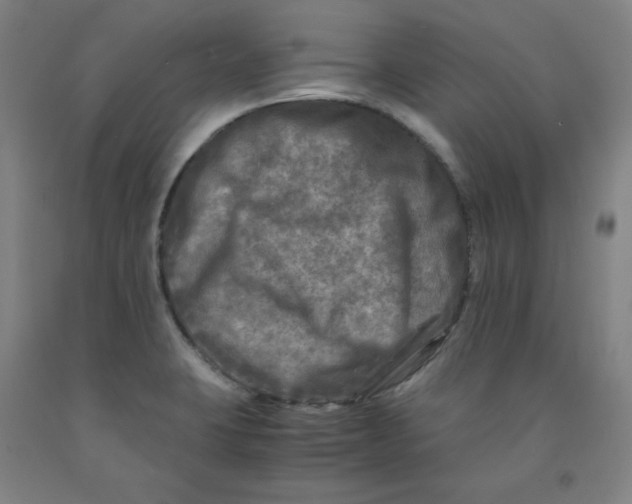 X0000091981423200709271418