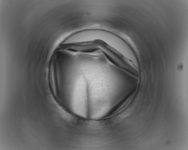 X0000091981424200709271418