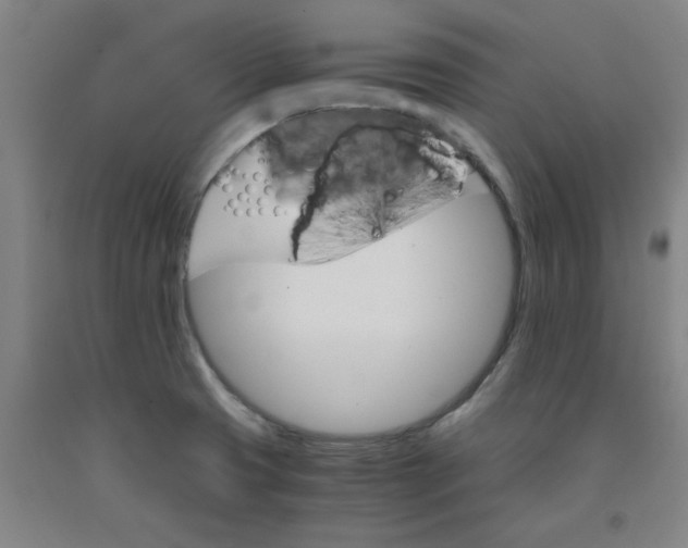 X0000091981425200709271418