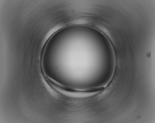 X0000091981426200709271418