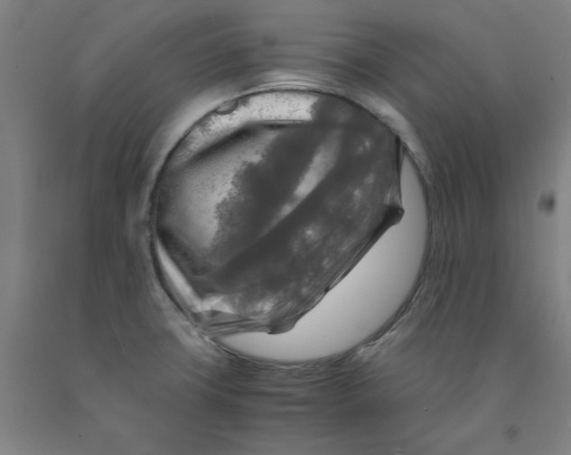 X0000091981427200709271418