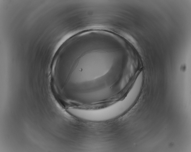 X0000091981428200709271418