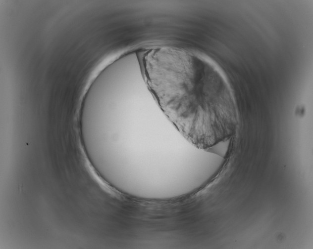 X0000091981429200709271418