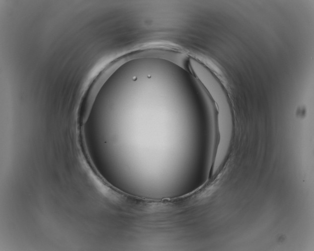 X0000091981430200709271418