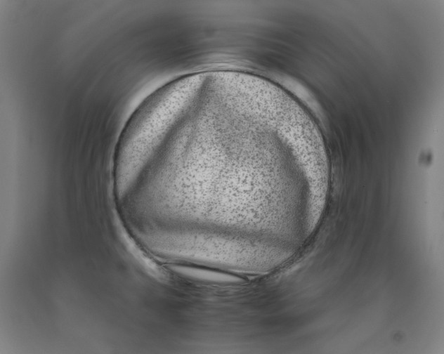 X0000091981431200709271418