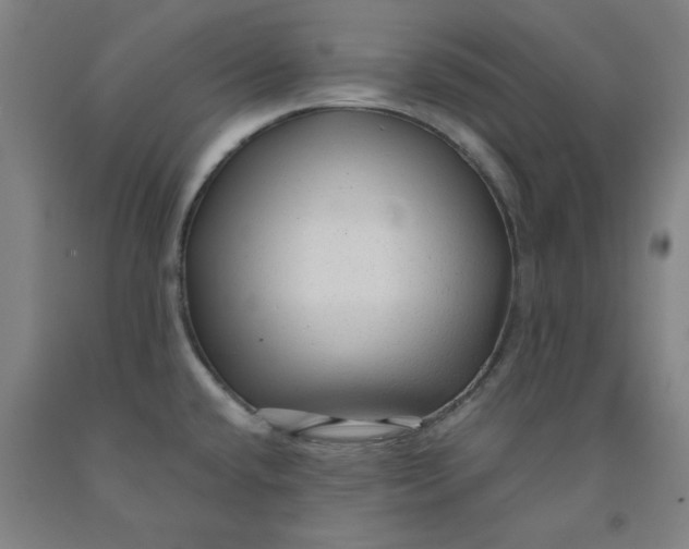 X0000091981432200709271418