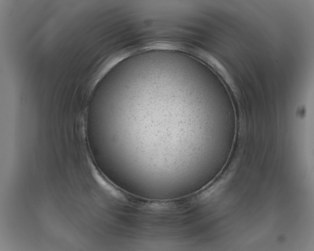 X0000091981433200709271418