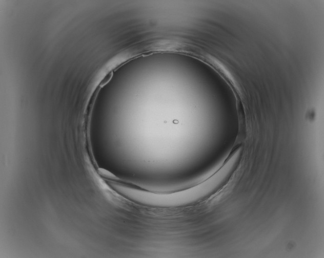 X0000091981434200709271418