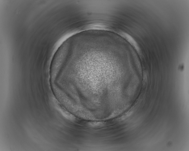 X0000091981435200709271418