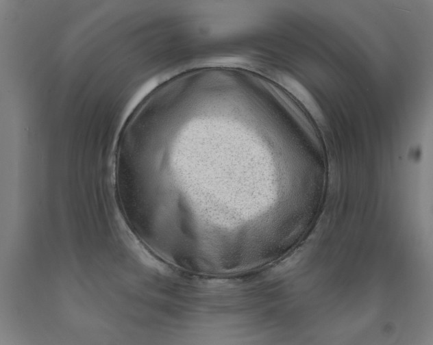 X0000091981436200709271418