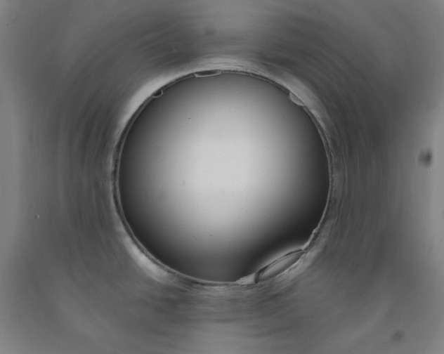 X0000091981438200709271418