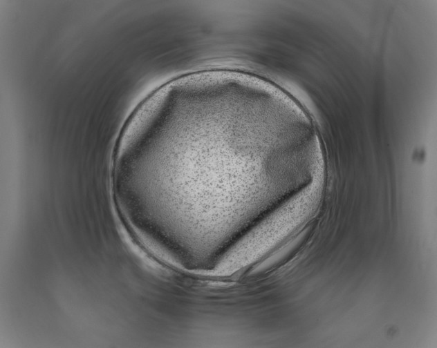 X0000091981439200709271418