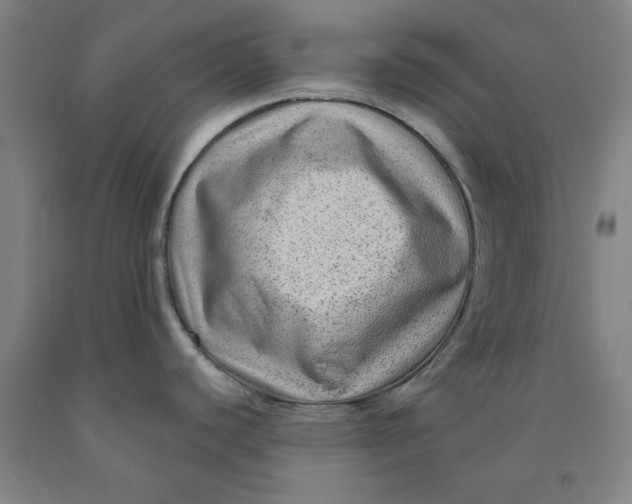 X0000091981440200709271418