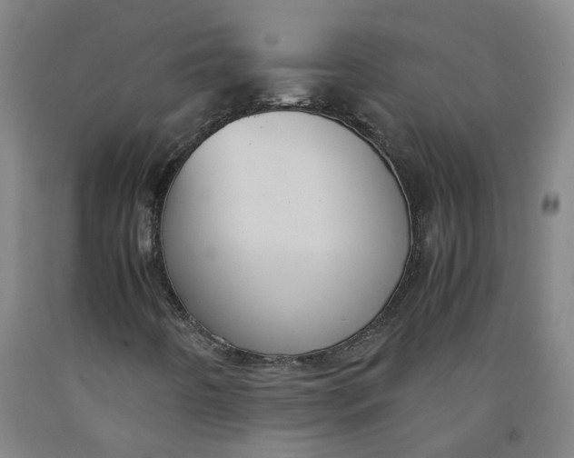 X0000091981442200709271417