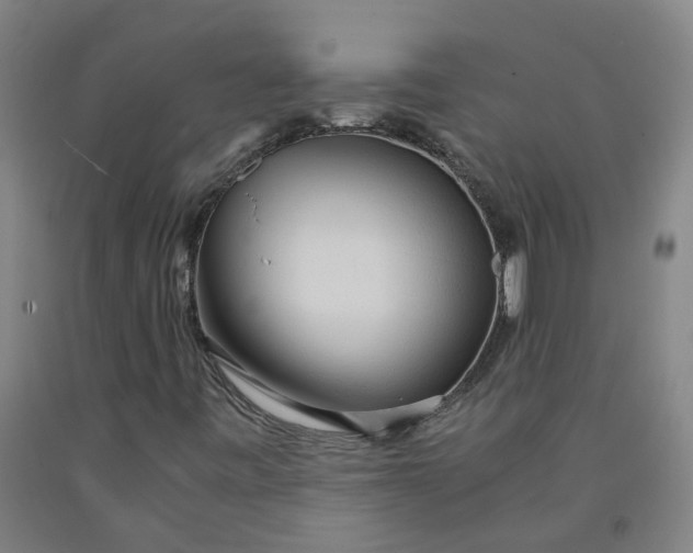 X0000091981443200709271417