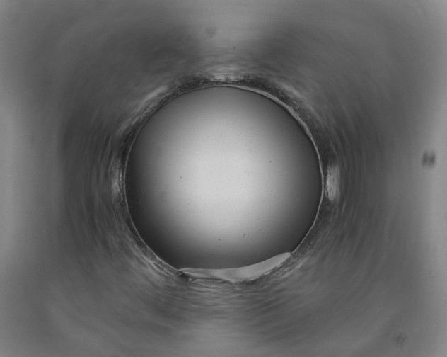 X0000091981444200709271417