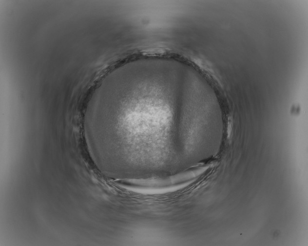 X0000091981445200709271417