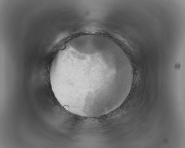 X0000091981446200709271417