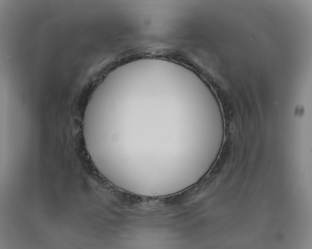 X0000091981447200709271417