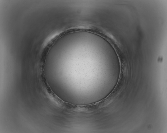 X0000091981448200709271417