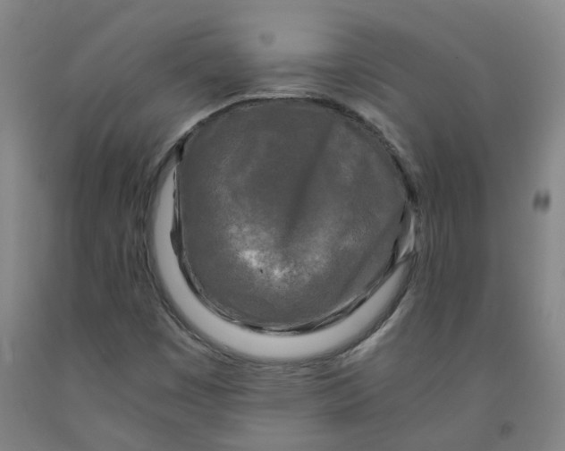 X0000091981449200709271417