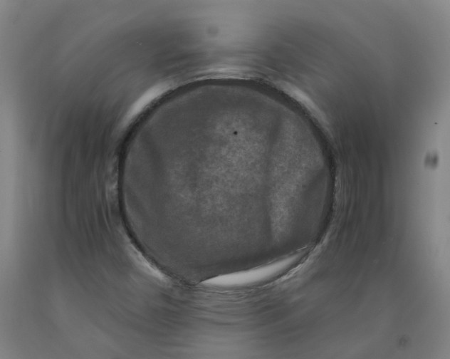 X0000091981450200709271417