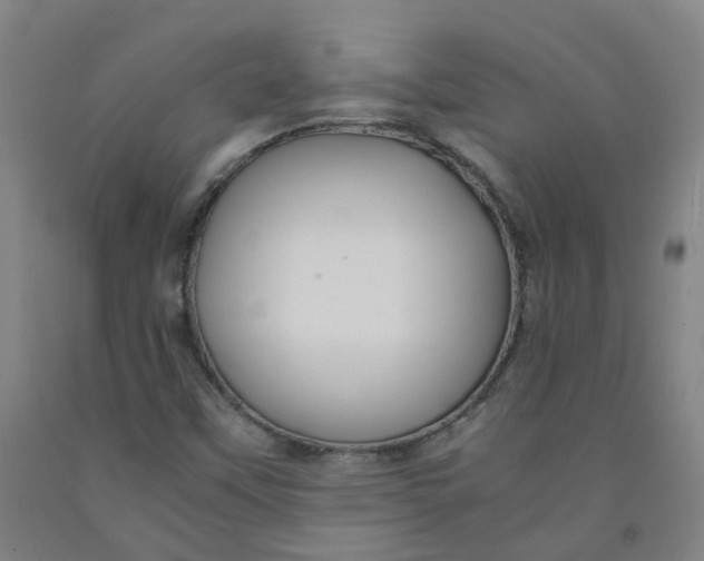 X0000091981451200709271417