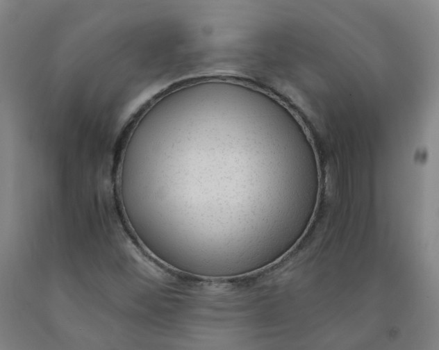 X0000091981452200709271417