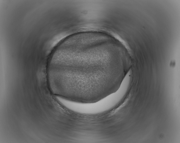 X0000091981453200709271417