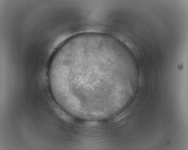 X0000091981454200709271417