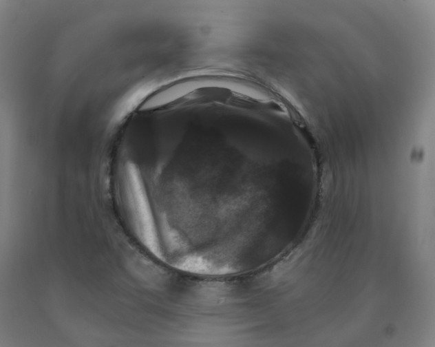 X0000091981455200709271417