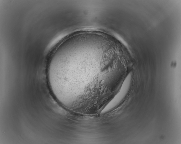 X0000091981456200709271417