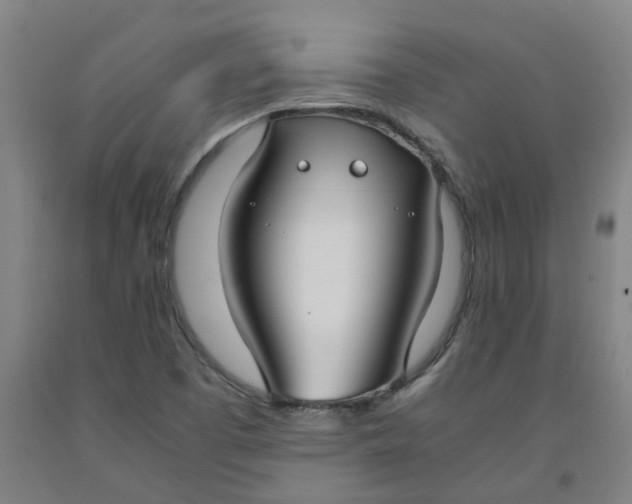 X0000091981457200709271417