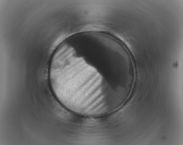 X0000091981459200709271417